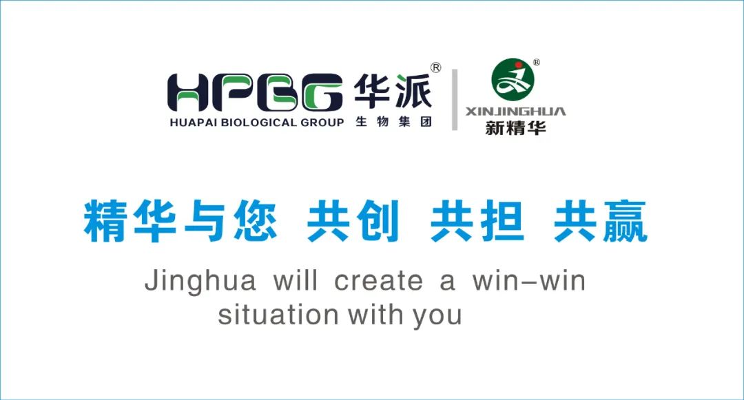 企业简介 |华派集团&bull;耀彩网药业（成都）有限公司