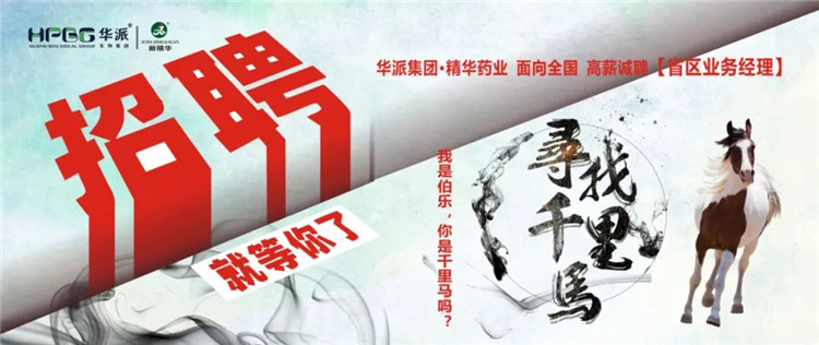 寻找千里马 | 华派集团&bull;耀彩网药业面 向天下高薪诚聘【省区营业司理】 我是伯乐，，，，，你是千里马吗？？？？？？？