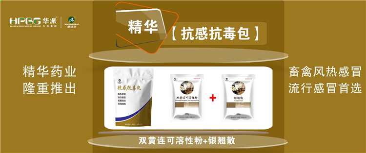 科普：几种常见畜禽伤风与盛行性伤风的防控 |【抗感抗毒包】抗菌消炎、解热排毒、抗毒增免，，，，，，畜禽风热伤风、盛行伤风首选!