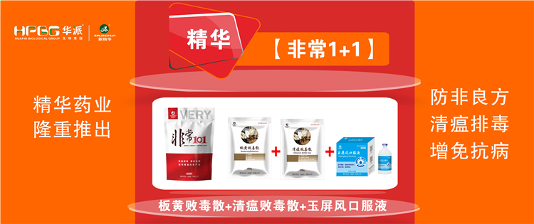 科普：非洲猪瘟防控步伐 |【很是1+1】防非良方, 清瘟排毒、增免抗病，，，，，，加速猪瘟抗体爆发!